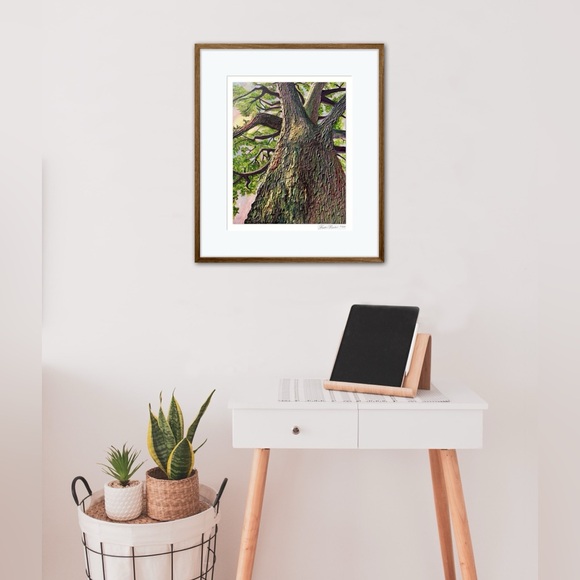 ‘Grounded’ Limited Edition Glicée Fine Art Print Unframed Signed Nature Tree - Picture 10 of 11